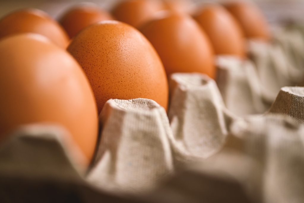 Alimentación